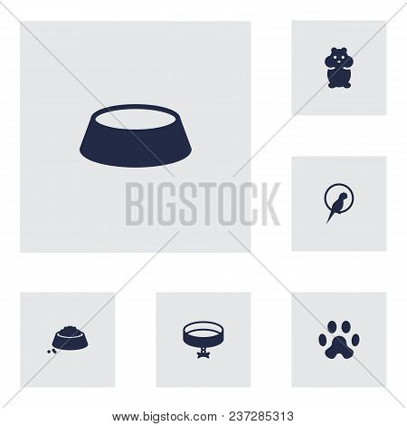 Set Of 6 Animals Icons Set. Collection Of Parrot, Hamster, Caw And Other Elements.