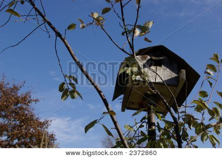 Cabane d'oiseaux
