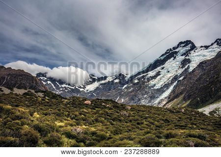 New Zealand View