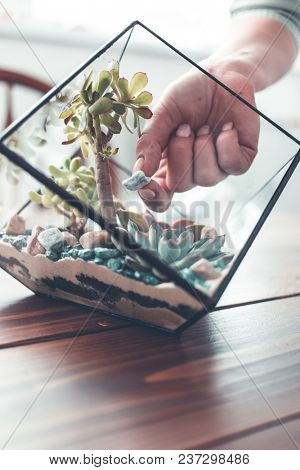 Picture of florist webinar on maiking florarium with stones and succulents