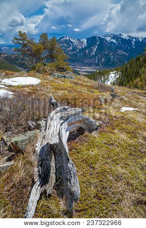 The Grass Pass Overlooking The Highwood River Valley, Kananaskis, Alberta, Canada