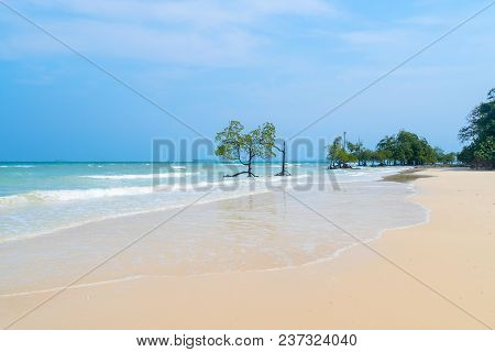 Stunning View Of Long Island Beach, Beautiful Tree In The Sea Water, Andaman Nicobar Islands. Holida