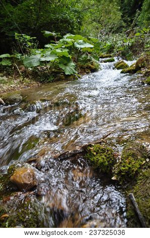 Calmly Flowing, Clean And Crystal Clear River