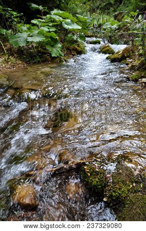 Calmly Flowing, Clean And Crystal Clear River