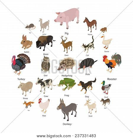 Animals Collection Icons Set. Isometric Illustration Of 25 Animals Collection Vector Icons For Web