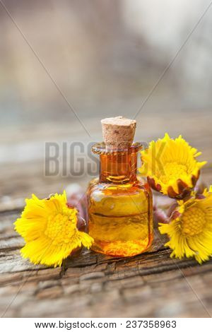 Foalfoot Essential Oil In  Beautiful Bottle On Table