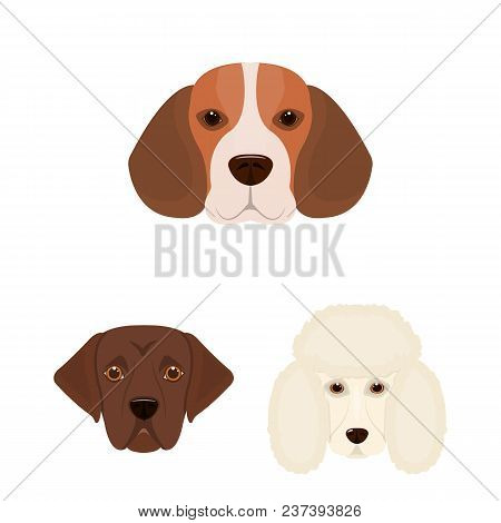 Dog Breeds Cartoon Icons In Set Collection For Design.muzzle Of A Dog Vector Symbol Stock  Illustrat