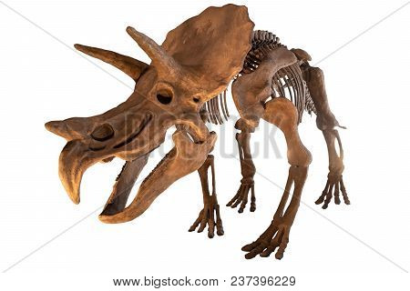 Tyrannosaurus Dinosaurs Toy Isolated On White Background With Clipping Path.