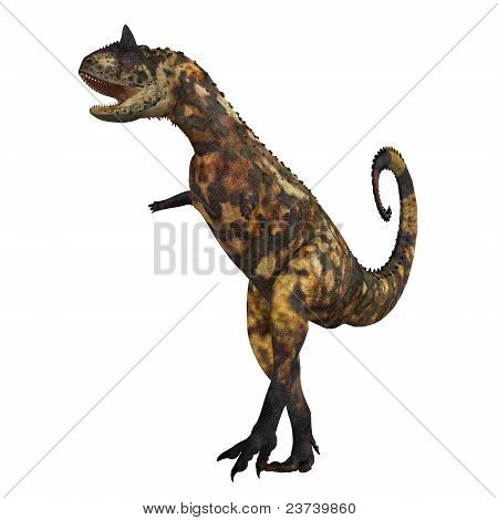 Carnotaurus