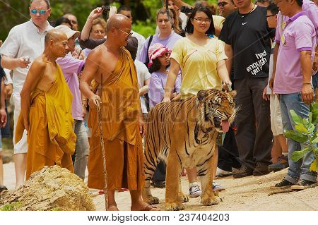 Kanchanaburi, Thailand - May 23, 2009: Unidentified Tourists Walk With Tiger Handled By Abbot Phra A