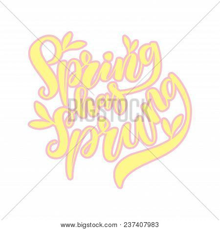 Vector Illustration Of Hand Drawn Brush Lettering Quote Spring Has Sprung For Card, Print, Poster, B