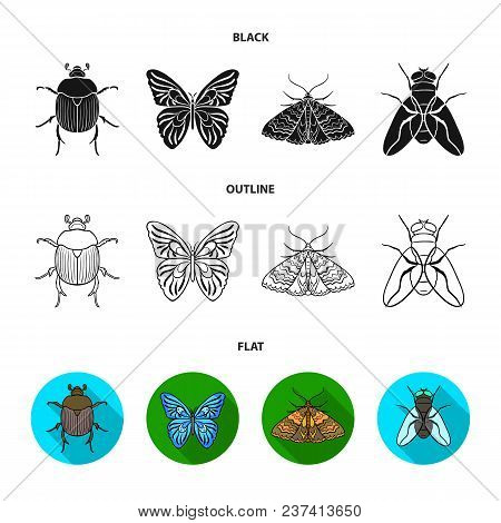 Wrecker, Parasite, Nature, Butterfly .insects Set Collection Icons In Black, Flat, Outline Style Vec