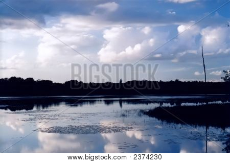 Wetlands Marsh