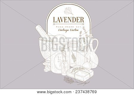 Lavender Flowers, Herbal Cosmetics Set, Creative Vintage Poster Handsketched Vector Illustration, We