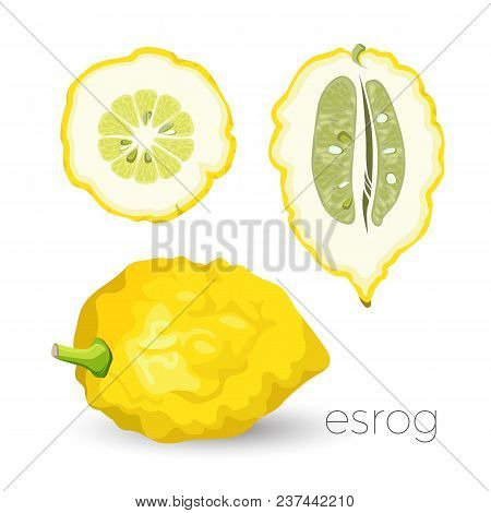 Delicious Exotic Sour Esrog With Rough Yellow Skin. Tropical Fruit Whole And Sliced. Unusual Natural
