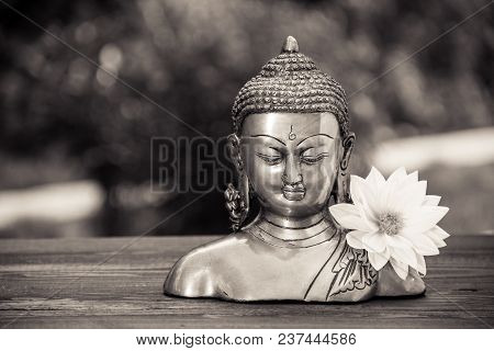 Buddha And  White Flower.  Chinese Buddha Sculpture And White Dahlia Flower. Monochrome