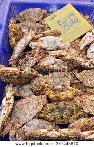 Crab On Ice For Cooking In Street Food