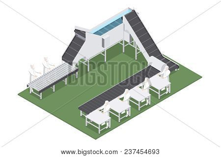 Line Of Industrial Food Production With Automated Equipment And Machinery. Vector Illustration Of Ma