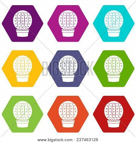 Echinocactus Icons 9 Set Coloful Isolated On White For Web