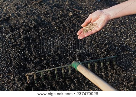 Planting A New Lawn.
