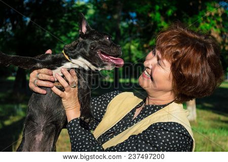 Cheerful Woman, Mom, Housewife, Hold  Pet, Room Dog. Black, Young French Bulldog. Elderly Woman Look