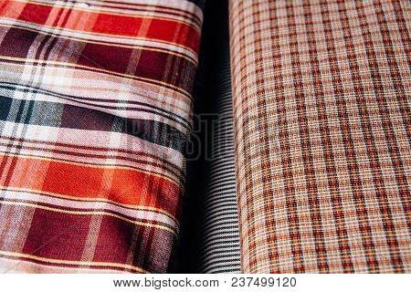 Two Types Of Tissue With A Cellular Texture Lie Side By Side Exactly