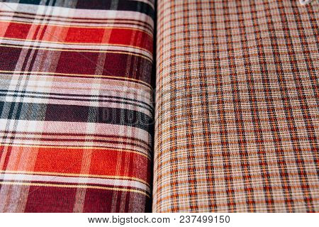Two Types Of Tissue With A Cellular Texture Lie Side By Side Exactly