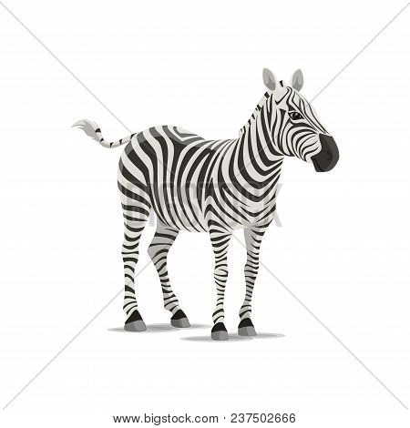Zebra Animal Icon. Vector Isolated Zoology Flat Design Of Zebra Horse Or Equid Species Of African Sa