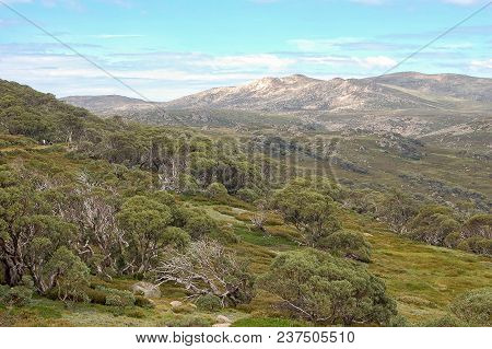 View From The Charlotte Pass Of The Snowy Mountains In Summer - New South Wales, Australia