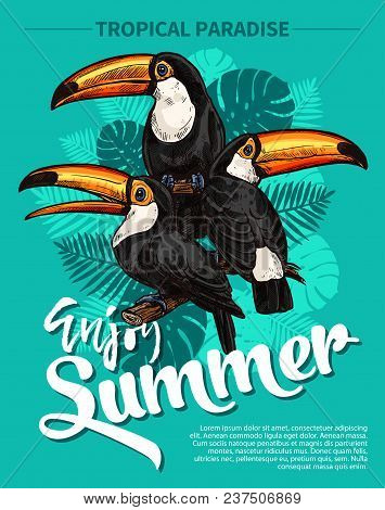Exotic Toucan Bird And Palm Leaf Tropical Poster. Vector Botanical Sketch Design Template For Summer