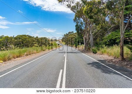 Countryside Road With Eucalyptus On Sunny Day. Rural Background