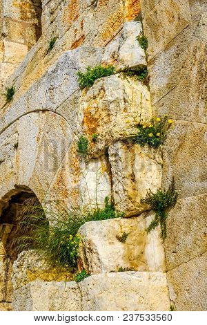 Yellow Flowers  Odeon Of Herodes Attiacus Acropolis Athens Greece. Stone Theater Base Of Acropolis. 