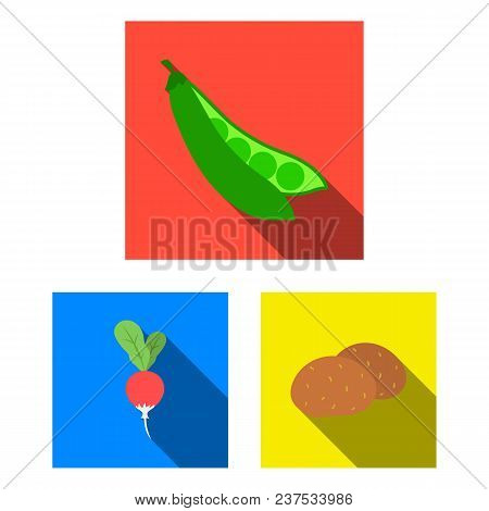 Different Kinds Of Vegetables Flat Icons In Set Collection For Design. Vegetables And Vitamins Vecto