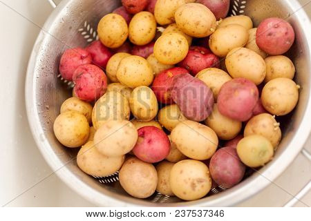 Small Potatoes