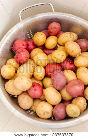Small Potatoes