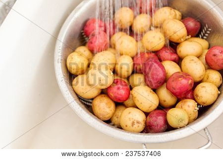Small Potatoes
