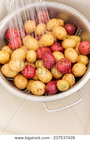 Small Potatoes