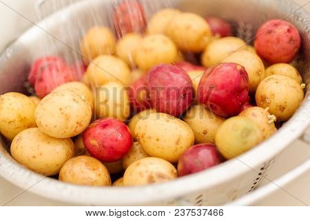 Small Potatoes