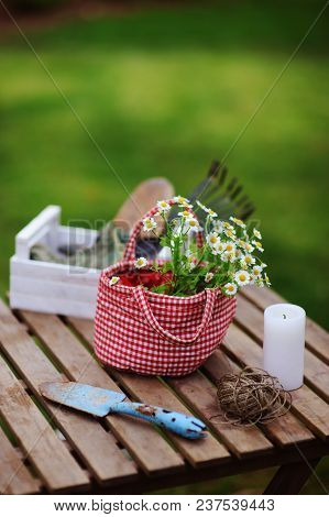 Garden Work Still Life In Summer. Chamomile Flowers In Red Handmade Bag, Gloves And Toold On Wooden 