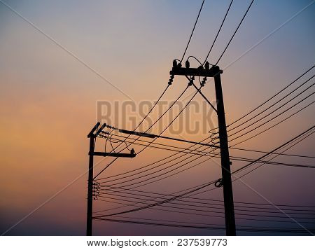 Electricity Wire And Pole On Sunset Background