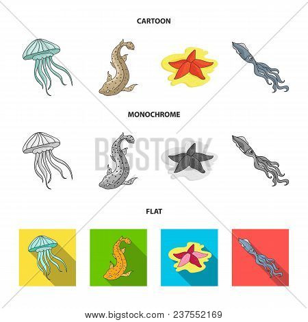 Jellyfish, Squid And Other Species.sea Animals Set Collection Icons In Cartoon, Flat, Monochrome Sty