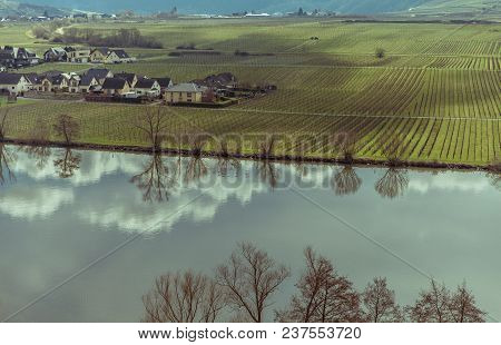 Moselle Landscape At Piesport Vineyards Spring Landscape