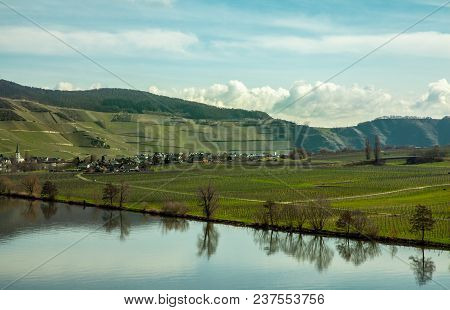 Moselle Landscape At Piesport Vineyards Spring Landscape