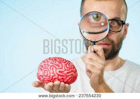 Adult Nerd Man Wearing Eyeglasses Looking At Human Brain Model. Thinking And Intelligence Conept