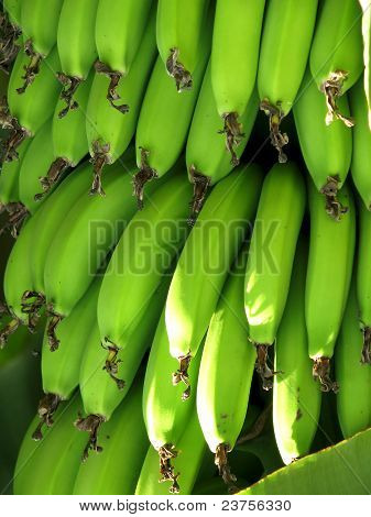 banane