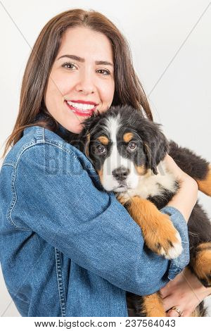 Happy Woman Huge A Puppy Of Bernese Mountain Dog