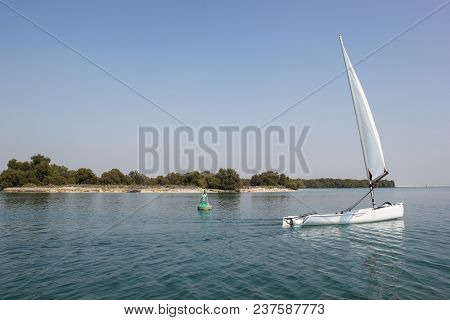 Sailing Boat Mangrove National Park Abu Dhabi In The United Arab Emirates.