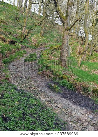 Steep Curving Dark Woodland Pathway Winding Up A Steep Hill In Winter