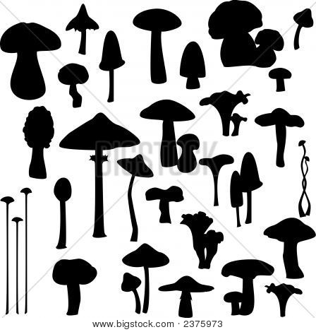 Champignon silhuetter