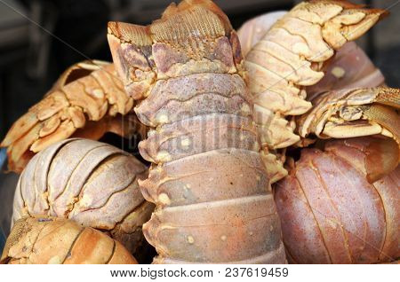 Sea crayfish  lobster. Dainty seafood.